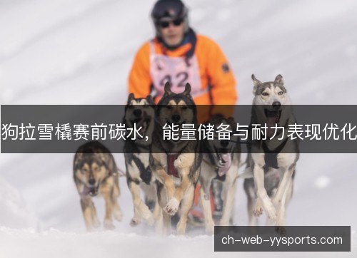 狗拉雪橇赛前碳水，能量储备与耐力表现优化